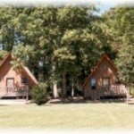 Gabby's Cabins Affordable Pet Friendly Cabins In Helen